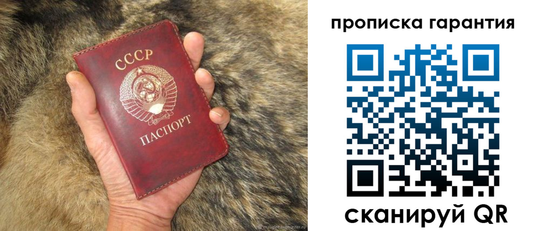 временная регистрация гарантия в Десногорске